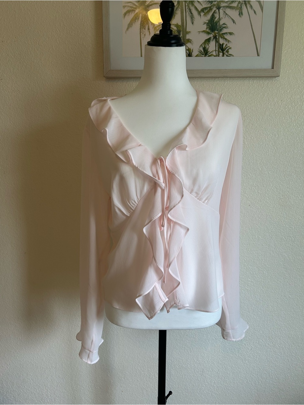 Sheer Ruffle-Front Blouse in Pale Pink